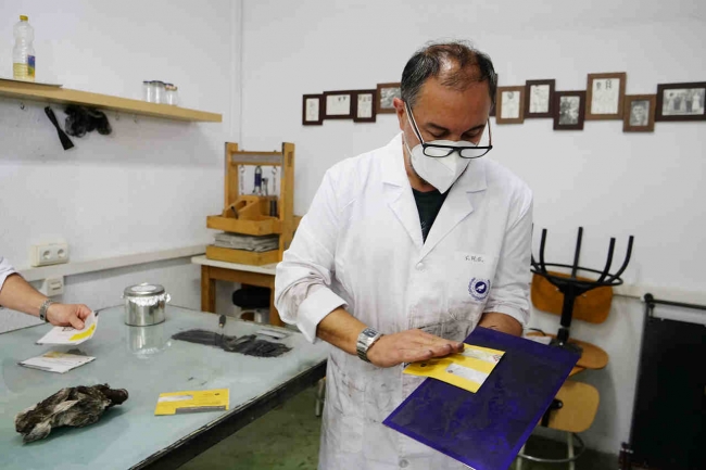 Investigadores de la UMA recuperan una obra perdida del artista Fernando Ortiz