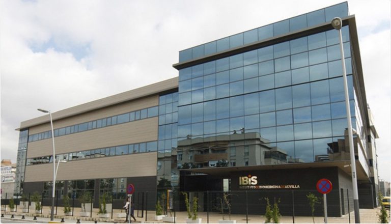 Investigadores del IBIS descubren un mecanismo que reduce los vasos sanguíneos en el alzheimer