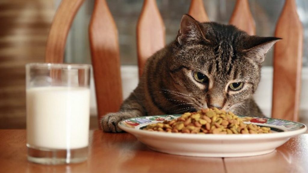 Las Comidas Frías