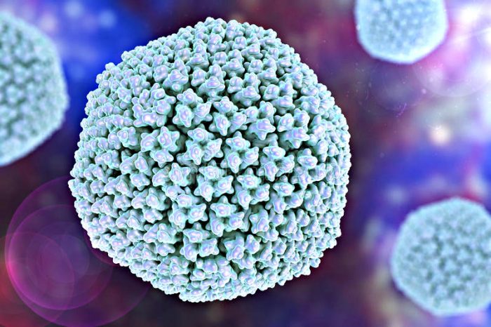 Los adenovirus ‘envejecen’ durante su entrada en la célula