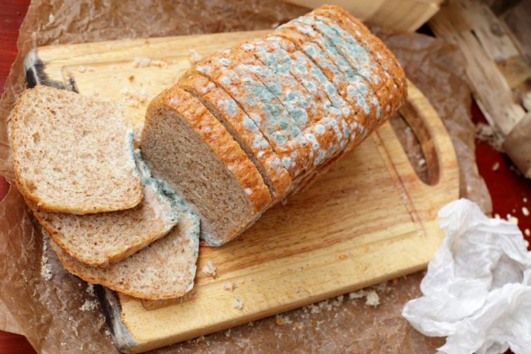 Moho en los alimentos: ¿se pueden comer?