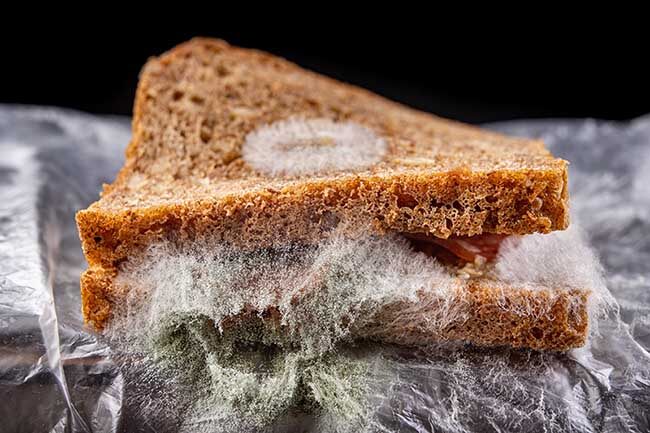 Alimentos Con Moho Que Debes Tirar Sin Peros
