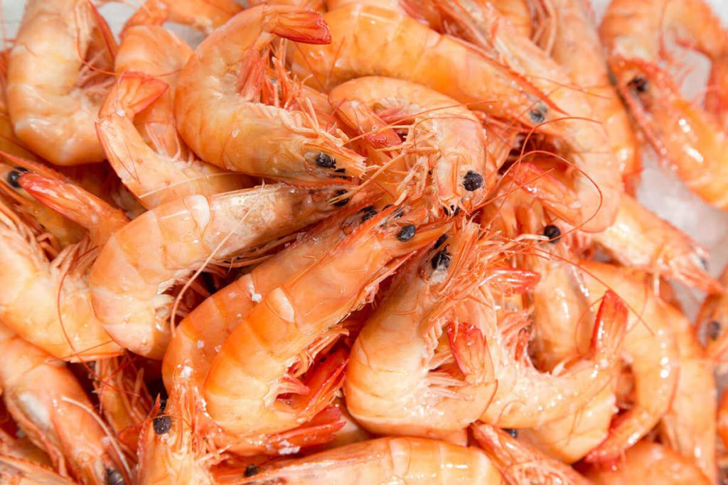 No Se Tienen Que Chupar Las Cabezas De Gambas Y Langostinos