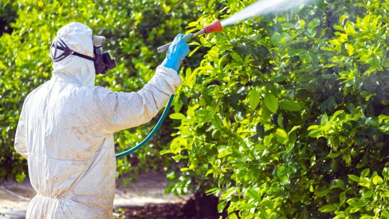 El TUE desestima un recurso de Bayer contra los límites en el uso de 2 plaguicidas