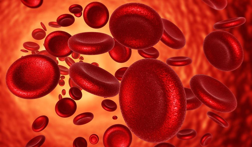 Previenes La Anemia Con Las Pasas