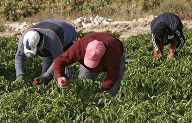 Qué es el subsidio agrario