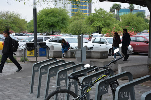 Qué Es La Movilidad Sustentable