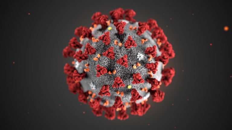 Realizan el mapa genético del SARS-CoV-2 más completo hasta la fecha