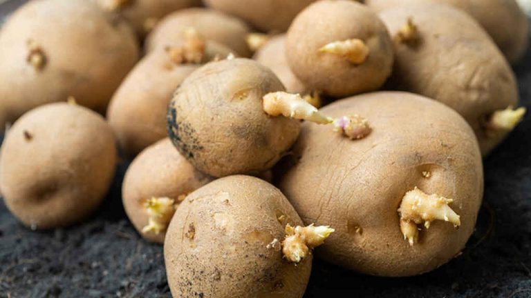 Trucos para que las patatas te duren más tiempo