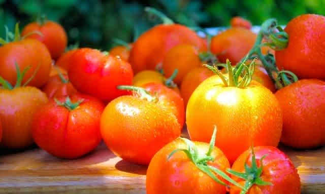 El Lado Débil Del Tomate