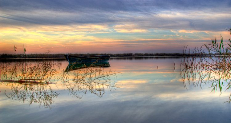 Valencia propone una solución para acabar con la carencia estructural de agua en l’Albufera