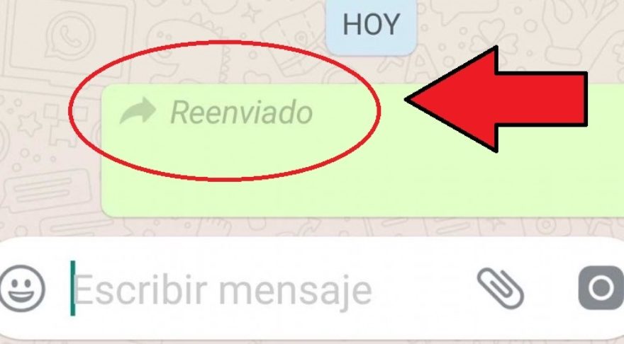 ¿Cómo Evitar Que Aparezca La Etiqueta «Reenviado» En Los Mensajes Reenviados En Whatsapp?