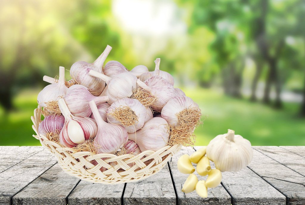 Cómo conservar los ajos para que duren más