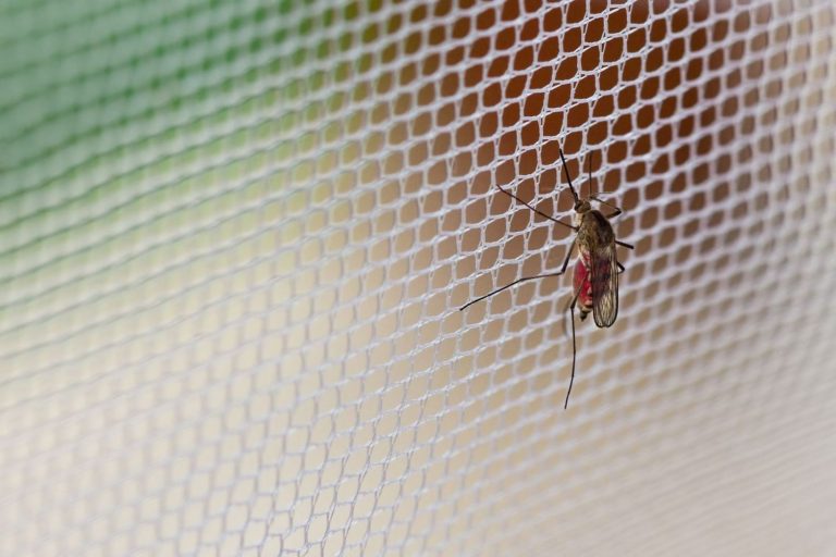Cómo instalar una mosquitera