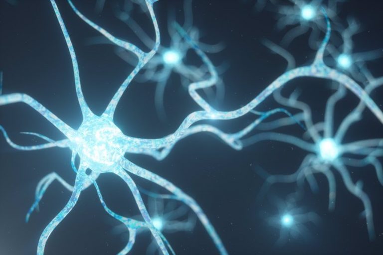 La memoria está controlada por la actividad mitocondrial de las neuronas