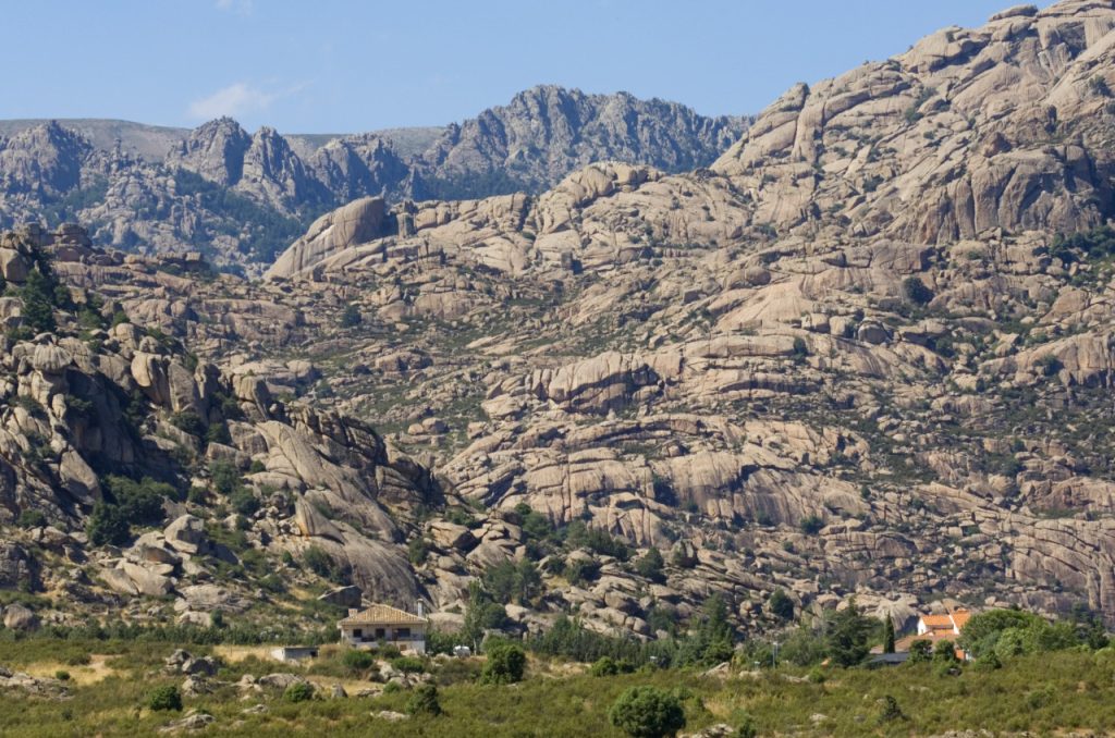 La Pedriza Alberga Más De 100 Crías De Buitre Leonado Pedriza