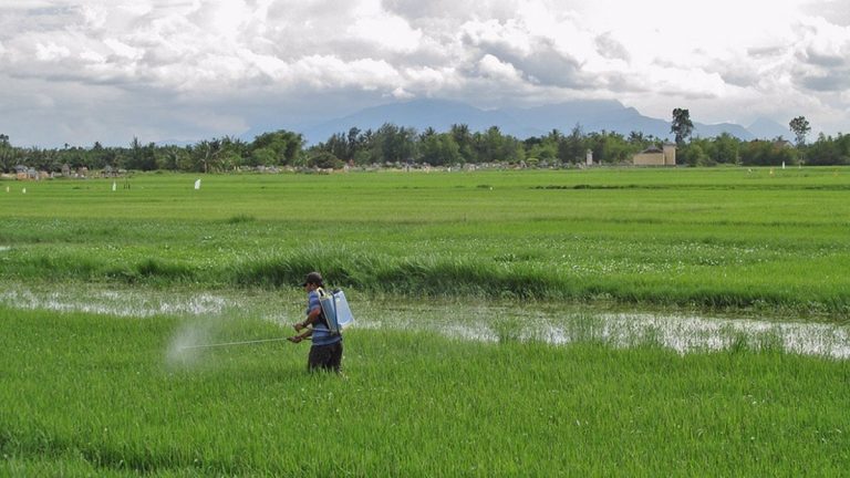 Un análisis revela el impacto de 70 años de uso de pesticidas en los suelos