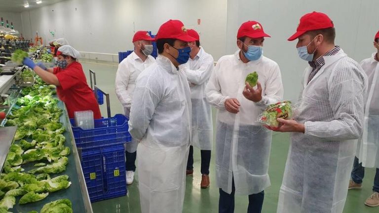 Murcia: «el cierre del trasvase haría desaparecer el 80% de la agricultura del Campo de Cartagena»