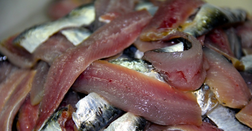 Boquerón