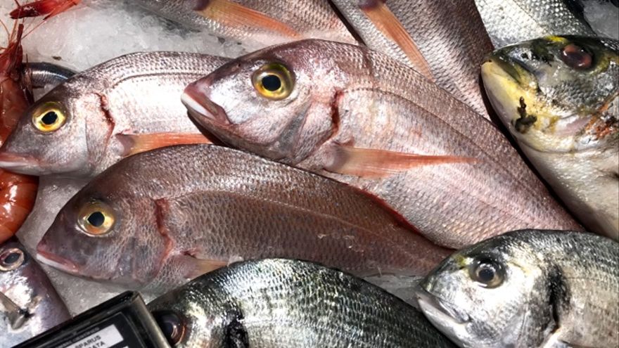 Pescados Frescos