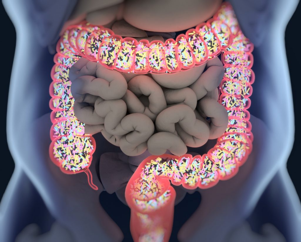 ¿La Dieta Fodmap Afecta A Largo Plazo A La Microbiota Intestinal?