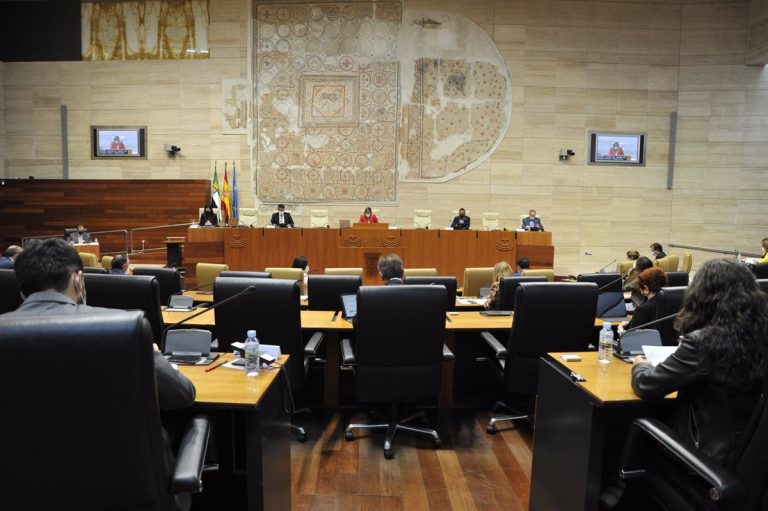 El PSOE rechaza crear una comisión sobre la gestión del Festival de Mérida