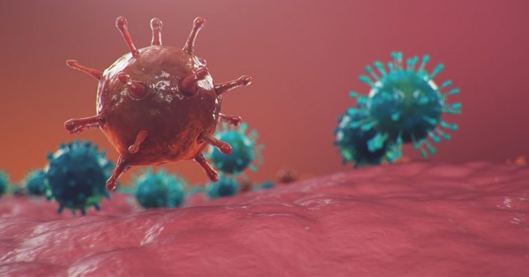 El virus está más adaptado a infectar células humanas que animales