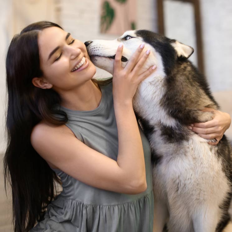 ¿Los Perros Lamen A La Gente Porque Desean Conocerlos?