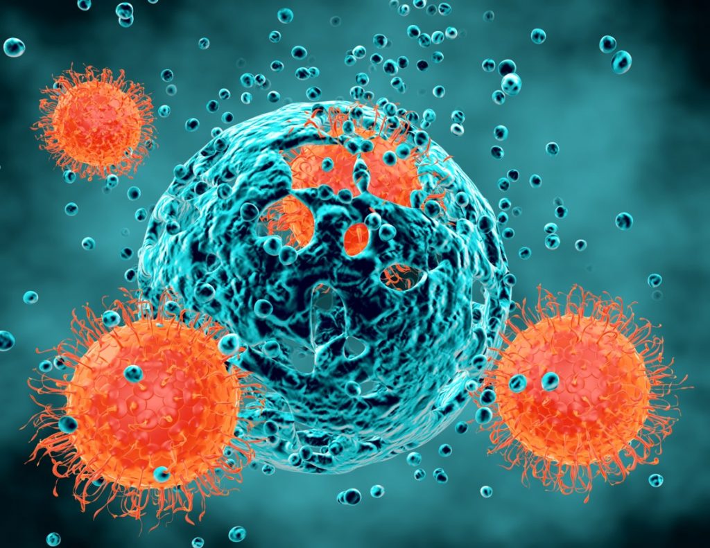 El Consumo De Fruta Puede Proteger Contra El Cáncer