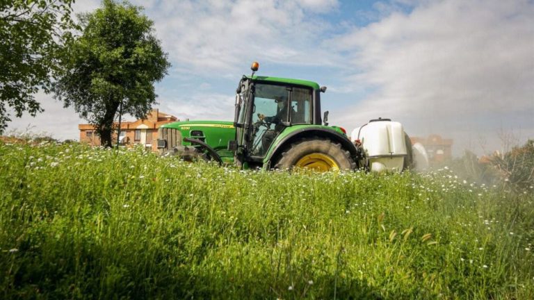 Gobierno convoca subvenciones por 3,2 millones para costes de avales en el sector agroalimentario