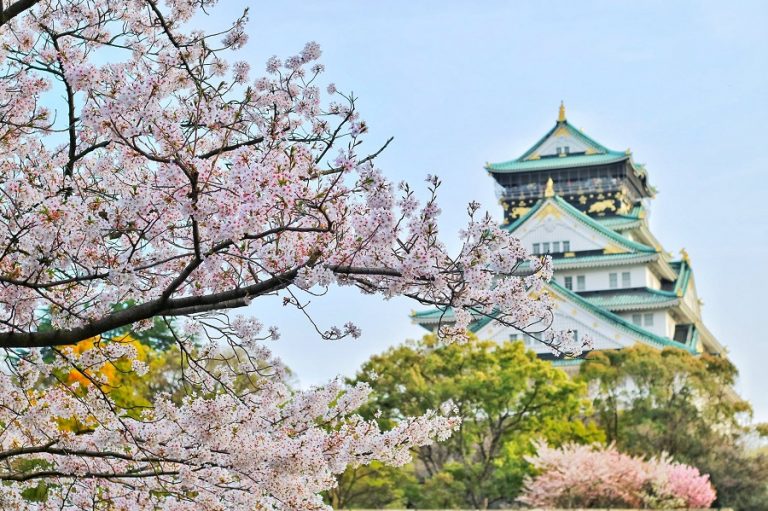 Por qué viajar a Japón puede llegar a ser la mejor experiencia de tu vida