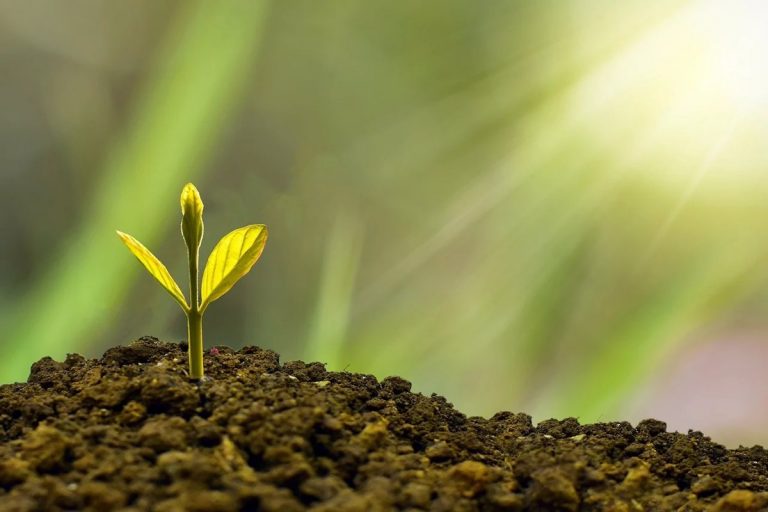 Los activos globales en materia de ESG superarán los 5.500 millones en 2025