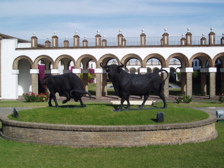 Las ventas de Osborne cayeron un 29% en 2020 por el Covid-19