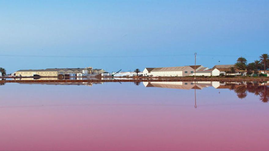 Murcia – Salinas De San Pedro Del Pinatar