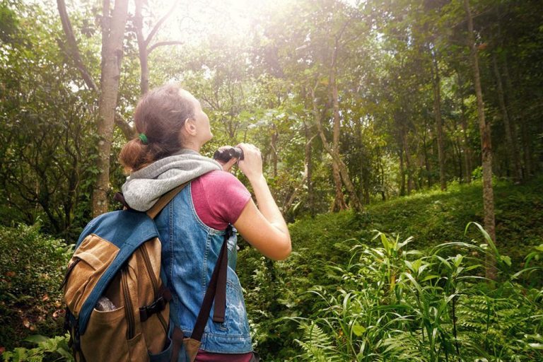 Qué es el ecoturismo