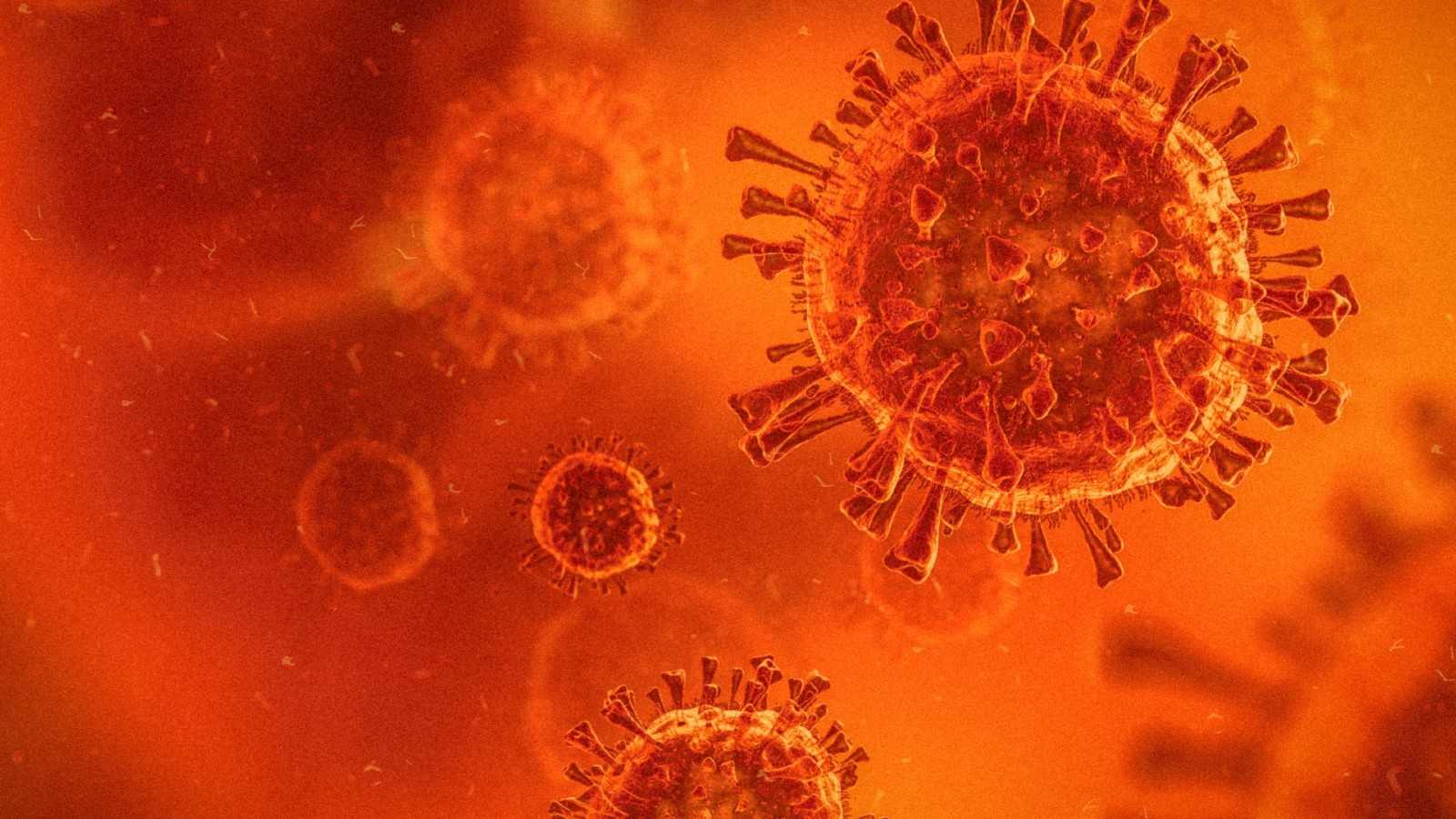 Qué Es La Variante Delta Plus Del Coronavirus