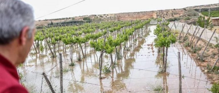 Regantes piden a Ribera que «no abandone» las inversiones para modernizar los regadíos