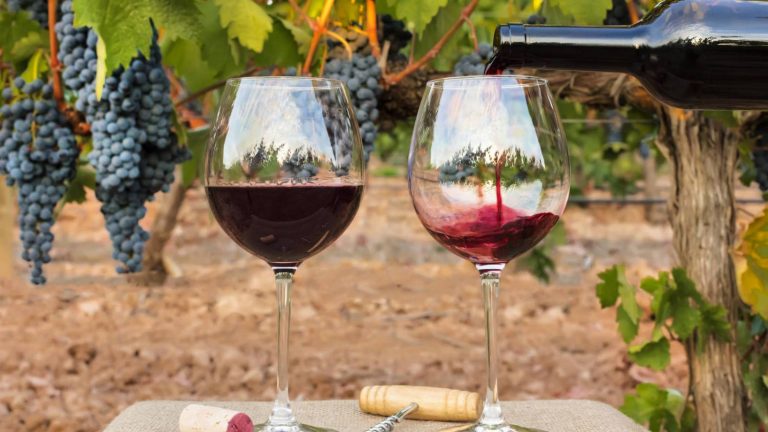 Francia, España e Italia celebran el acuerdo entre UE y EEUU sobre los aranceles que afectaban al vino