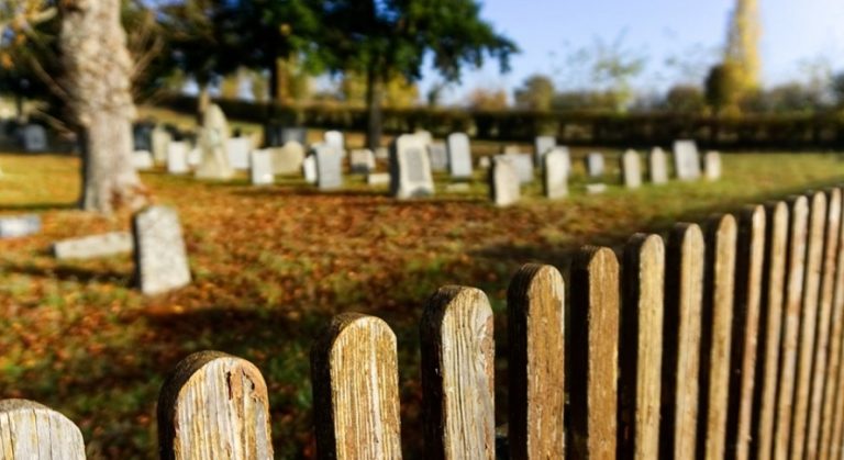 Funeral ecológico, el legado verde de una forma de vida sostenible
