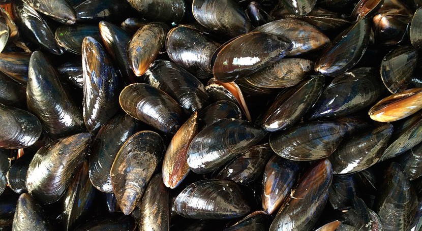 Mejillones: Cómo Limpiarlos Y Cocerlos Para Sacarles Todo El Jugo