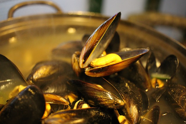 Mejillones