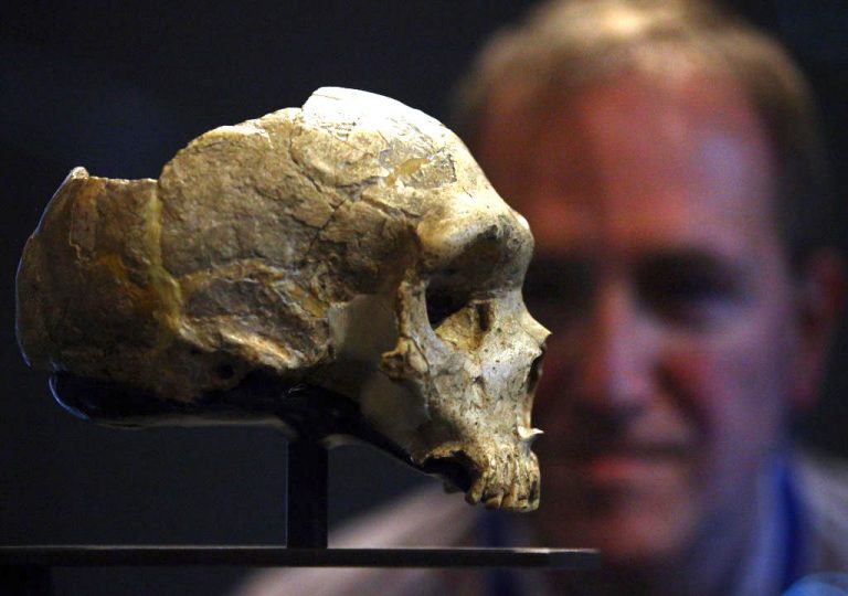 La UV lidera una investigación sobre la dieta de los neandertales siberianos