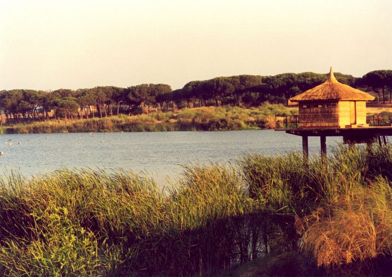 Cepsa celebra el XX aniversario de la restauración de La Laguna Primera de Palos