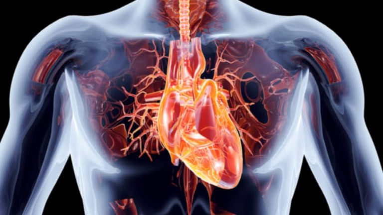 Cardioalianza pide al Congreso incluir el SCA en la agenda de prioridades sanitarias