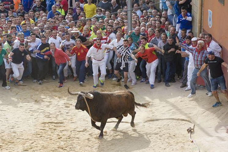 El Defensor del Pueblo admite la queja contra Castilla y León por su silencio sobre la anulación del toro enmaromado