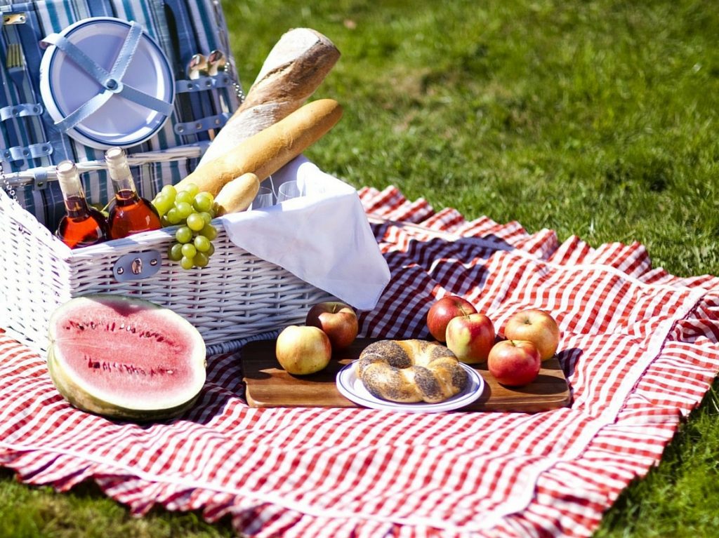 Hormigas, El Mal Que Puede Llegar A Arruinar Tu Picnic