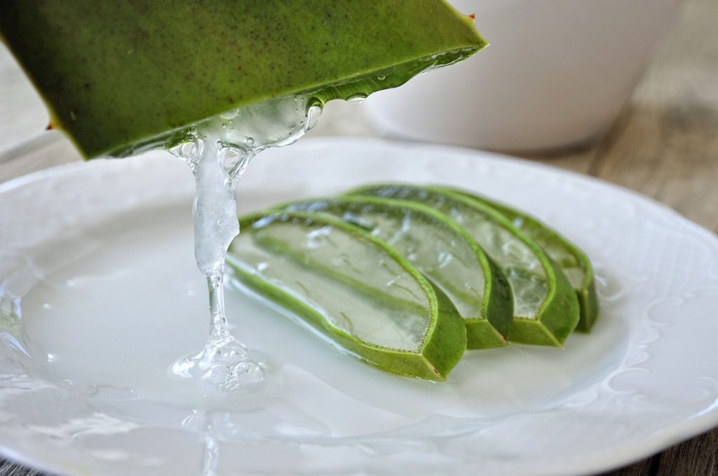 ¿Cómo Hacer Una Crema De Aloe Vera Casera?