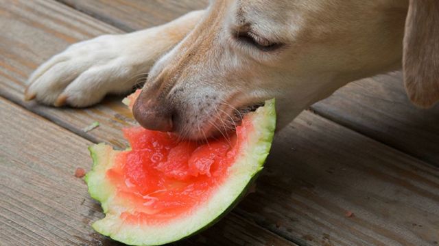 Frutas Para Refrescar En Verano