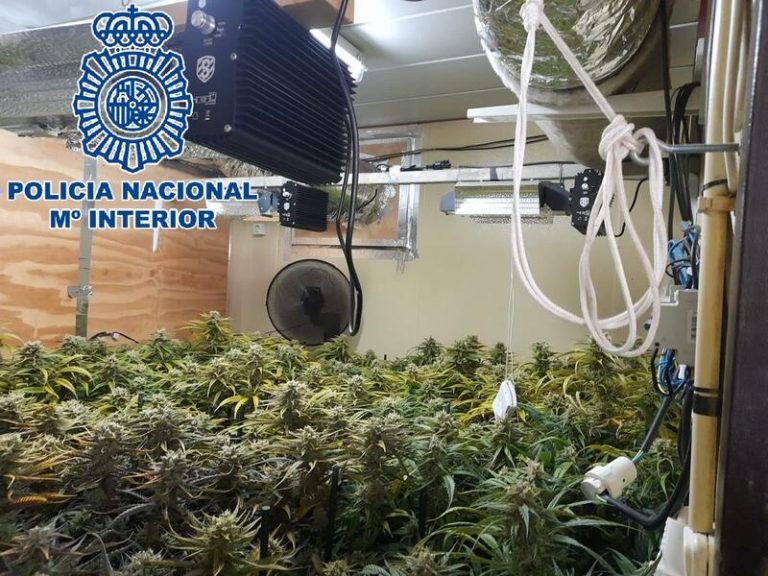 La Policía desarticula el ‘Clan de los Coquinas’