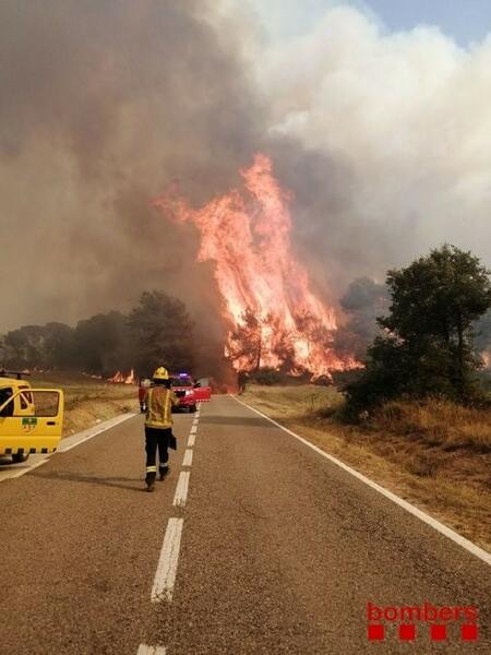 El Gobierno envía tres medios aéreos más para la extinción del incendio de Santa Coloma de Queralt (Tarragona)